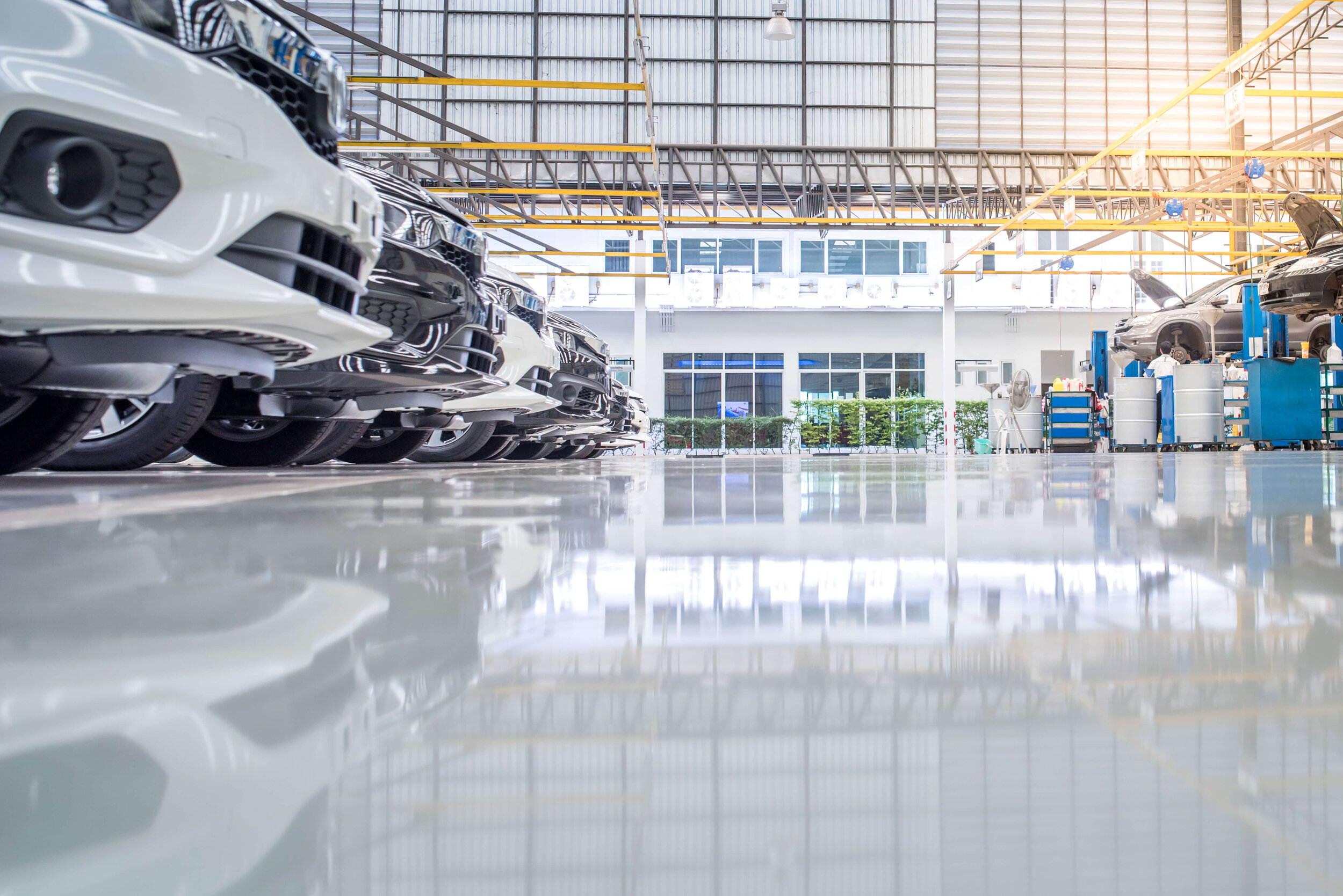 epoxy+car+dealership+(1)
